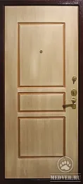 Металлическая дверь 924