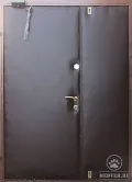 Тамбурная дверь в подъезд-19