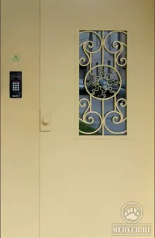 Дверь с домофоном-72