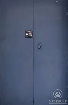 Дверь с домофоном-38